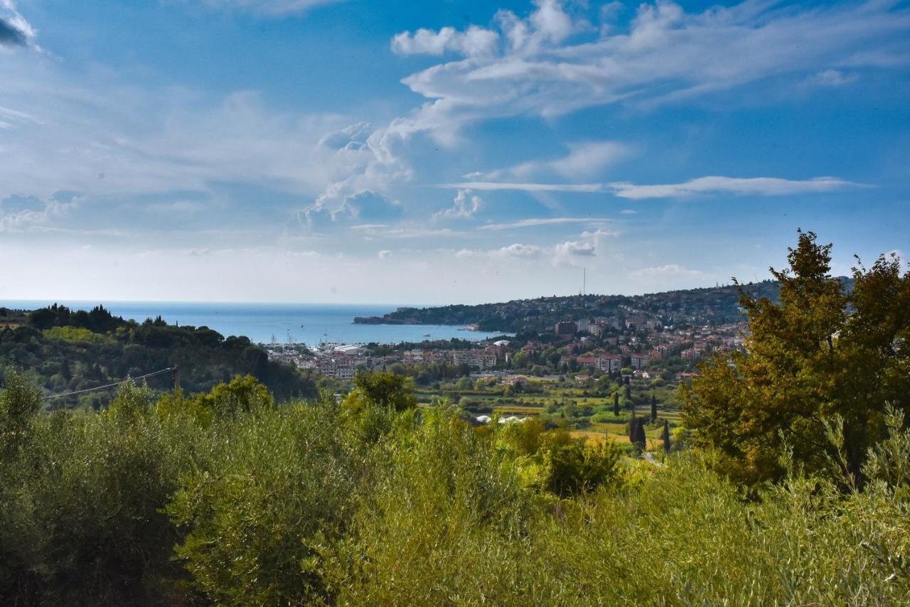 Apartma Med Oljkami - Portoroz Portorož Exterior foto
